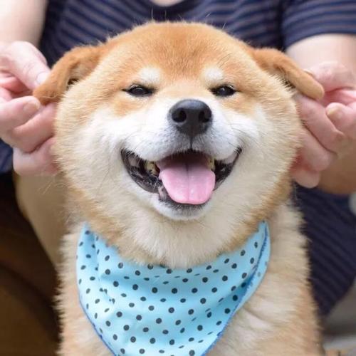 繼杰15531791554滄州專線